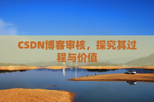 CSDN博客审核，探究其过程与价值